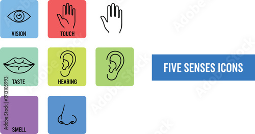 Collection of colorful flat square icons representing the five human senses including vision touch taste hearing and smell with text