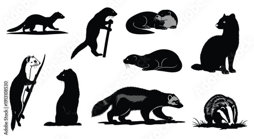 Weasel silhouettes in different poses and activities against white background