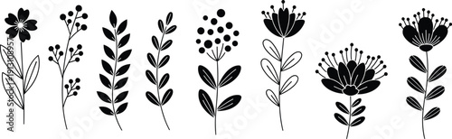 Large collection of black flower and leaf silhouettes in various botanical styles isolated on white background for garden design projects