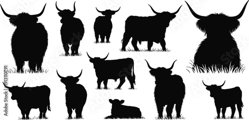 Black vector silhouette set of highland cattle featuring long horns and shaggy coats in various standing and grazing poses for farm and agriculture branding