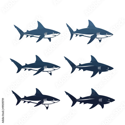 Set of Six Shark Illustrations in Different Poses.