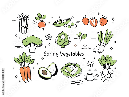 Spring vegetables set for versatile compositions. Calm seasonal vegetables arranged as a flexible vector pack suitable for food, lifestyle,