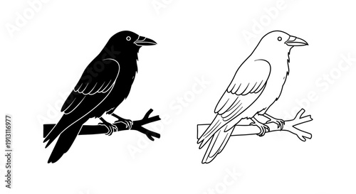 Black and white bird illustrations on branches, minimalist line art design Vector