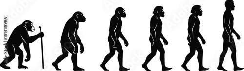 Human Evolution Silhouettes Sequence Showing Ape to Modern Man Progression Vector Illustration Isolated on White Background