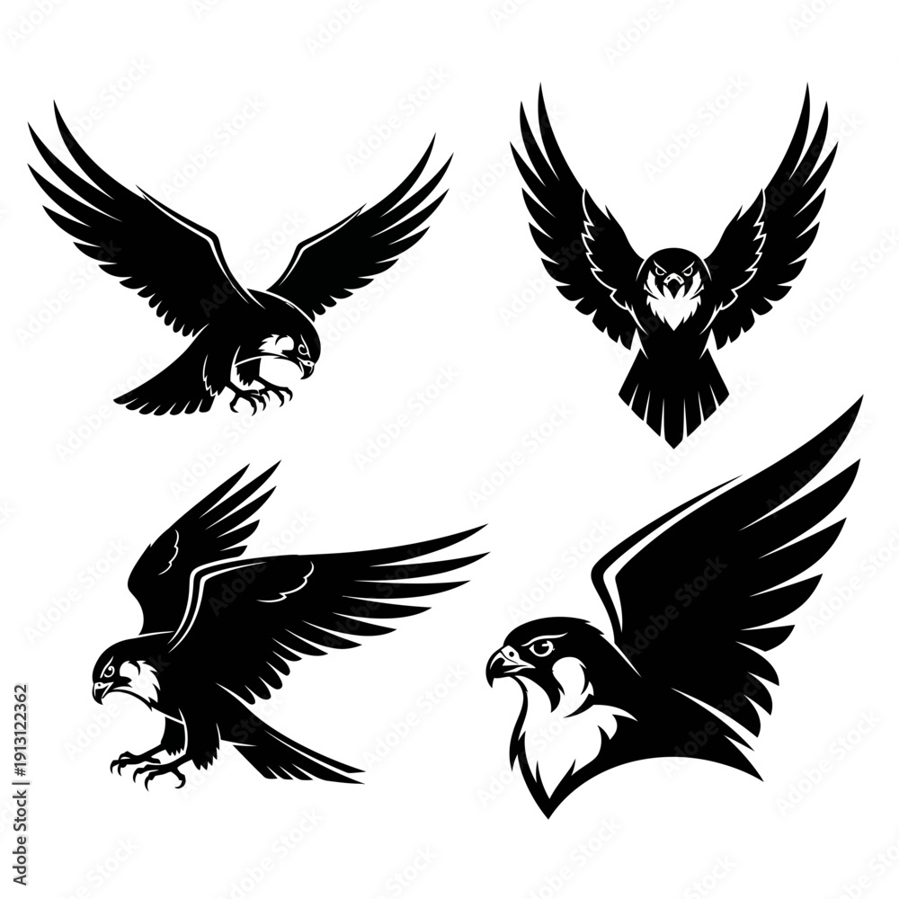 Fototapeta premium Set of Four Falcon Illustrations.