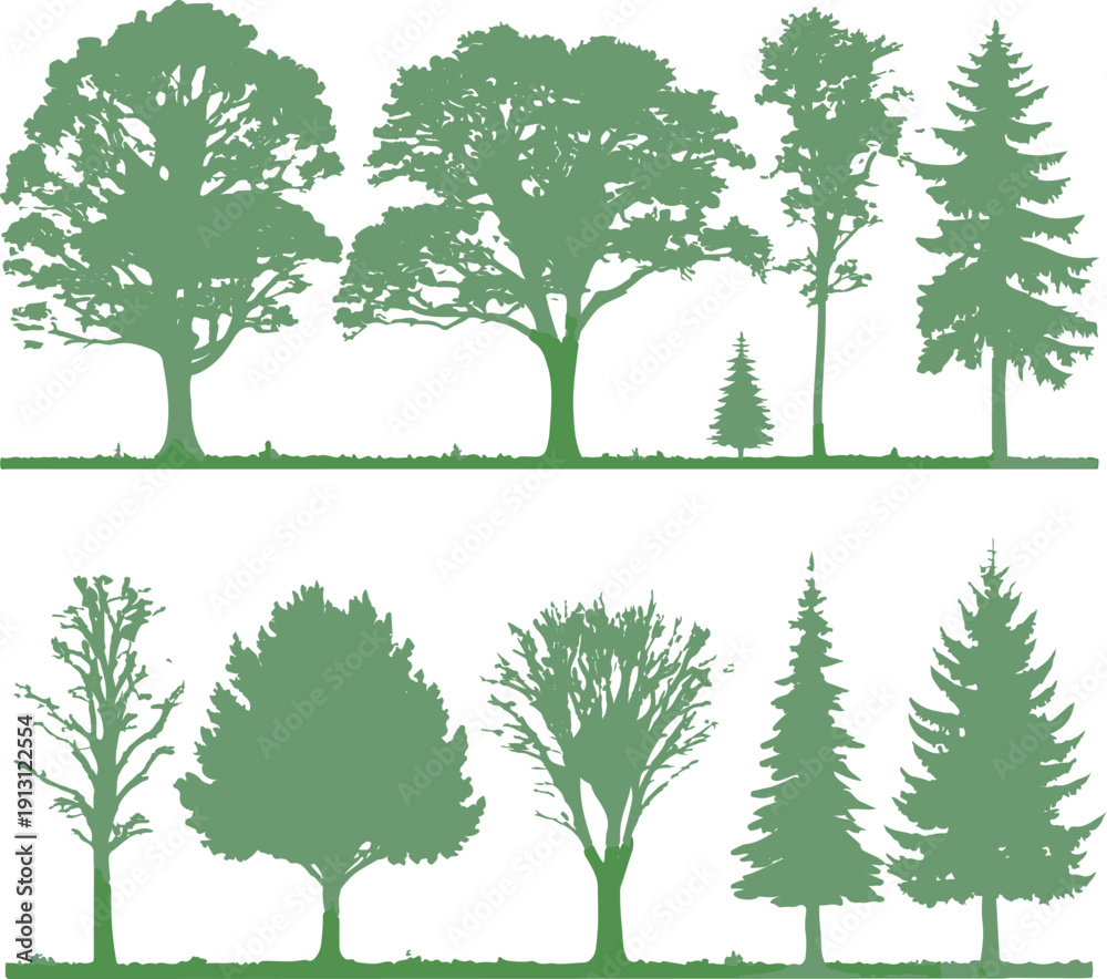 Obraz premium TREE VECTOR