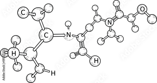Black and white line vector of Science background molecule and atom model. black and white on white background 