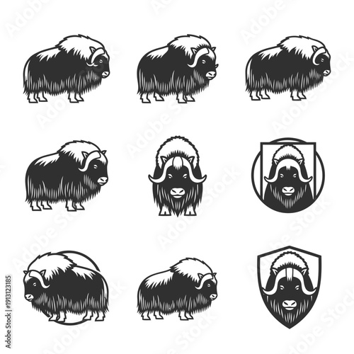 Set of Musk Ox Illustrations 1.