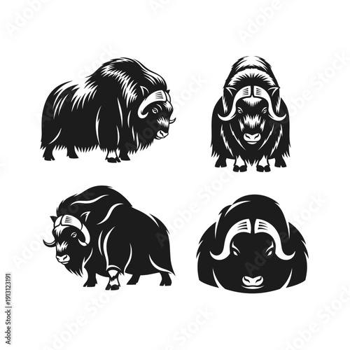 Set of Musk Ox Illustrations.