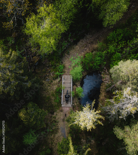Girl on an arabian horse