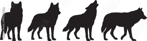Wolf silhouette collection in different poses, wild animal standing walking howling vector illustration isolated on white background