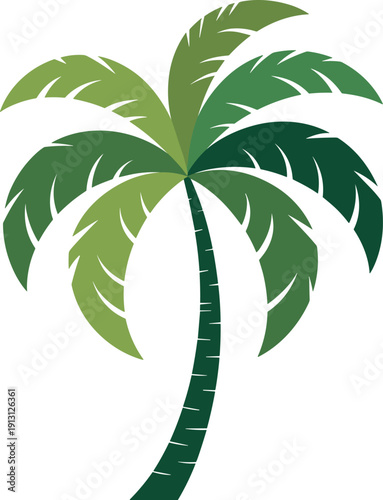 Green palm tree vector on white background.
