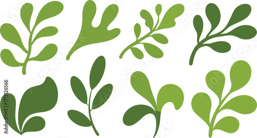 Abstract Green Botanical Leaf Shapes Collection for Organic Nature Design, Eco Branding, Foliage Clipart, Modern Flat Vector Set