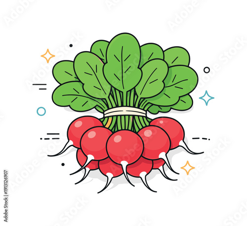 Radish bunch. A top-down view of a radish bunch arranged neatly, emphasizing shape contrast between roots and leaves. The scene feels clean,
