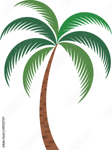 Coconut palm tree vector on white background.