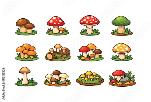    Wild mushrooms. Colorful isometric vector icons set of Wild mushrooms: forest mushroom, red toadstool, amanita cap, mossy mushroom, woodland