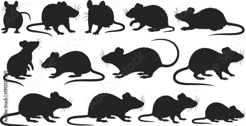Black silhouettes of rats and mice in diverse poses with varied tail positions and ear shapes, perfect for wildlife illustration, pest control design, decorative art, and educational use