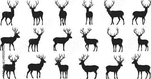 Collection of 20 deer silhouettes with antlers in varied poses, wildlife illustration set for hunting, nature, forest, animal morphology, and educational design use