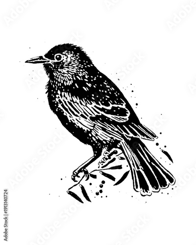 Ilustração de pássaro preto em estilo de xilogravura ou cordel pousado em um galho