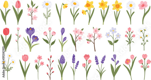 Spring wildflowers collection set watercolor floral elements bouquet botanical illustration isolated