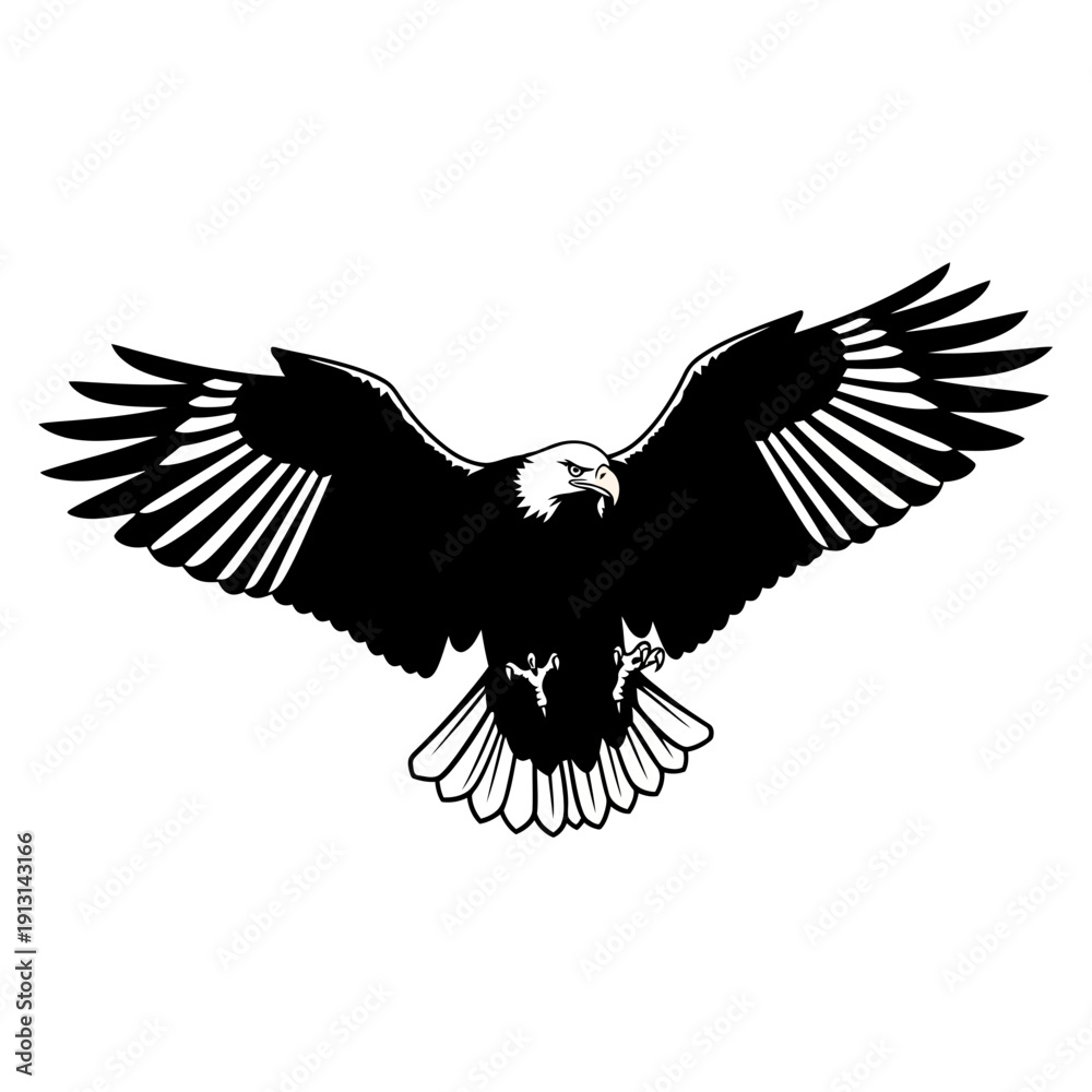 Obraz premium Black and White Eagle in Flight.