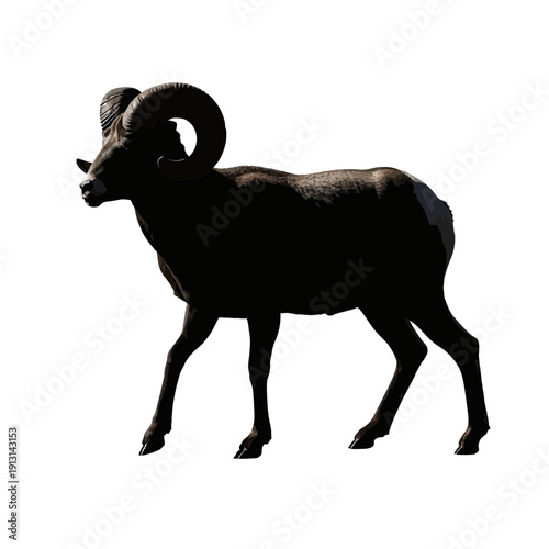 Bighorn Sheep Silhouette Profile.