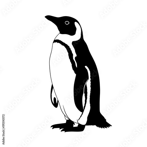Black and white illustration of a penguin standing.