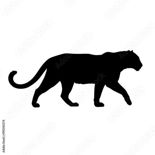 Black Panther Silhouette Walking Side View.