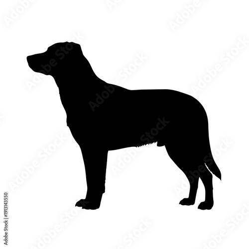 Black silhouette of a standing dog.