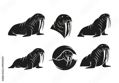 Collection of Walrus Silhouettes in Various Poses.