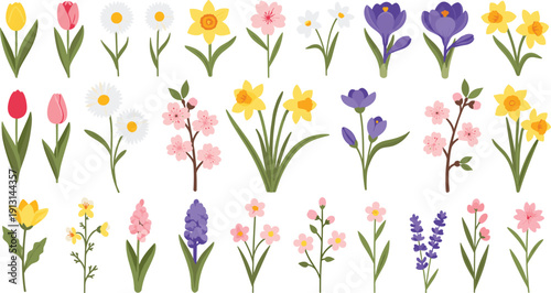 Spring wildflower set with tulips daffodils crocus lavender and cherry blossoms illustration