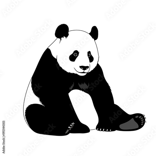 Cute Panda Sitting Illustration 1.