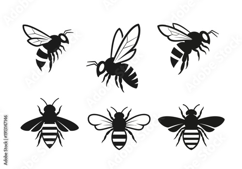 Set of Six Black and White Bee Illustrations.