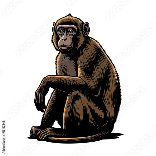 Illustration of a monkey sitting patiently.