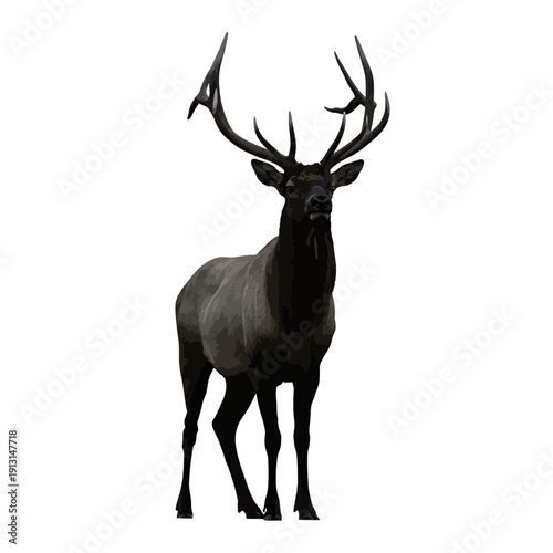 Majestic Black Elk Standing Proudly.