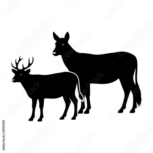 Silhouette of a Deer and a Doe.