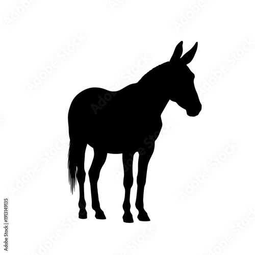 Silhouette of a Donkey Standing Still.