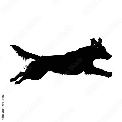 Silhouette of a dog running.