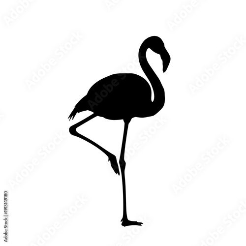 Silhouette of a Flamingo Standing on One Leg 1.
