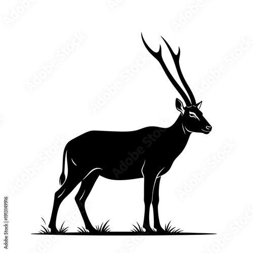 Silhouette of a majestic stag with long branching antlers standing in grass.