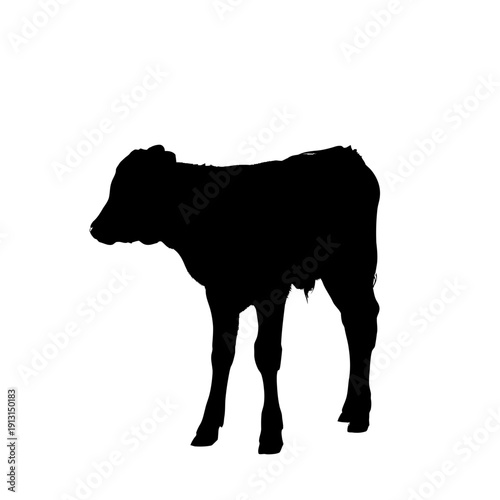 Silhouette of a young calf standing on a white background.