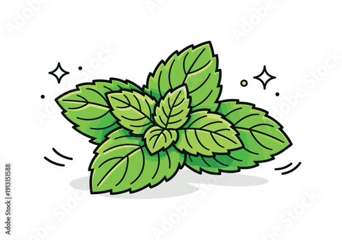 Mint leaves close up. Fresh mint leaves shown in a clean close-up view, with soft veins and gentle curves clearly visible. The scene feels