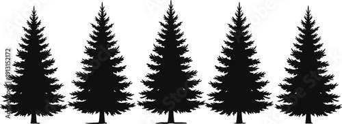 Pine Tree Silhouettes Set Vector Illustration, Black Evergreen Conifer Forest Trees Isolated on White Background