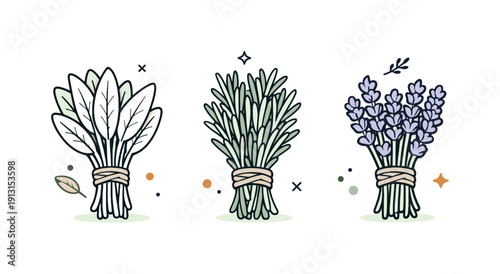 Herb Symmetry Illustration. Neutral dried herb collection. Flat bundles of sage, rosemary, and lavender aligned symmetrically, soft natural tones and dried