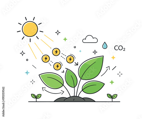 Photosynthesis process. Sunlight shining onto green leaves with small energy icons moving inward, showing how plants absorb light and grow.