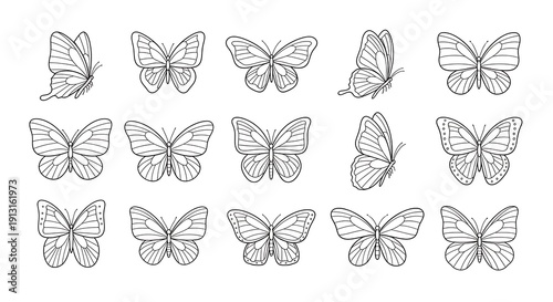 Collection of 12 unique butterfly illustrations in black and white