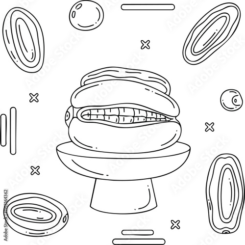 Potted plant with open fruit pods and abstract shapes
