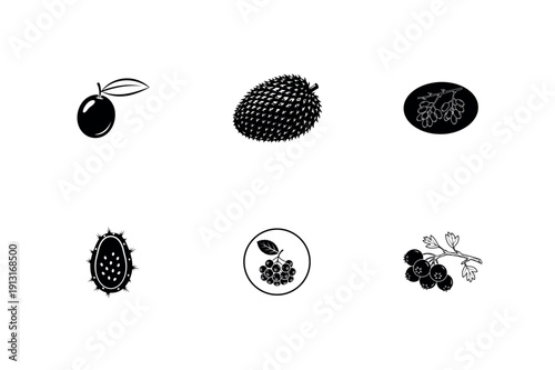 Vintage Monochrome Tropical Fruit and Berry Botanical Vector Illustrations