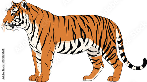 Majestic Bengal Tiger Standing Vector Illustration with Detailed Black Stripes and Realistic Profile for Wildlife Conservation Posters, Zoo Branding, Mascot Logos, and Jungle Graphics