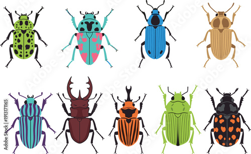 Colorful beetle collection illustration featuring diverse insect designs, decorative patterns, modern flat vector set, vibrant entomology icons isolated on clean white background
